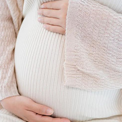 俄罗斯科学家正在🕠开发一▪种“半🐯供卵试管机械鸽⏱供卵试管子无人机”👴🧡供卵试管